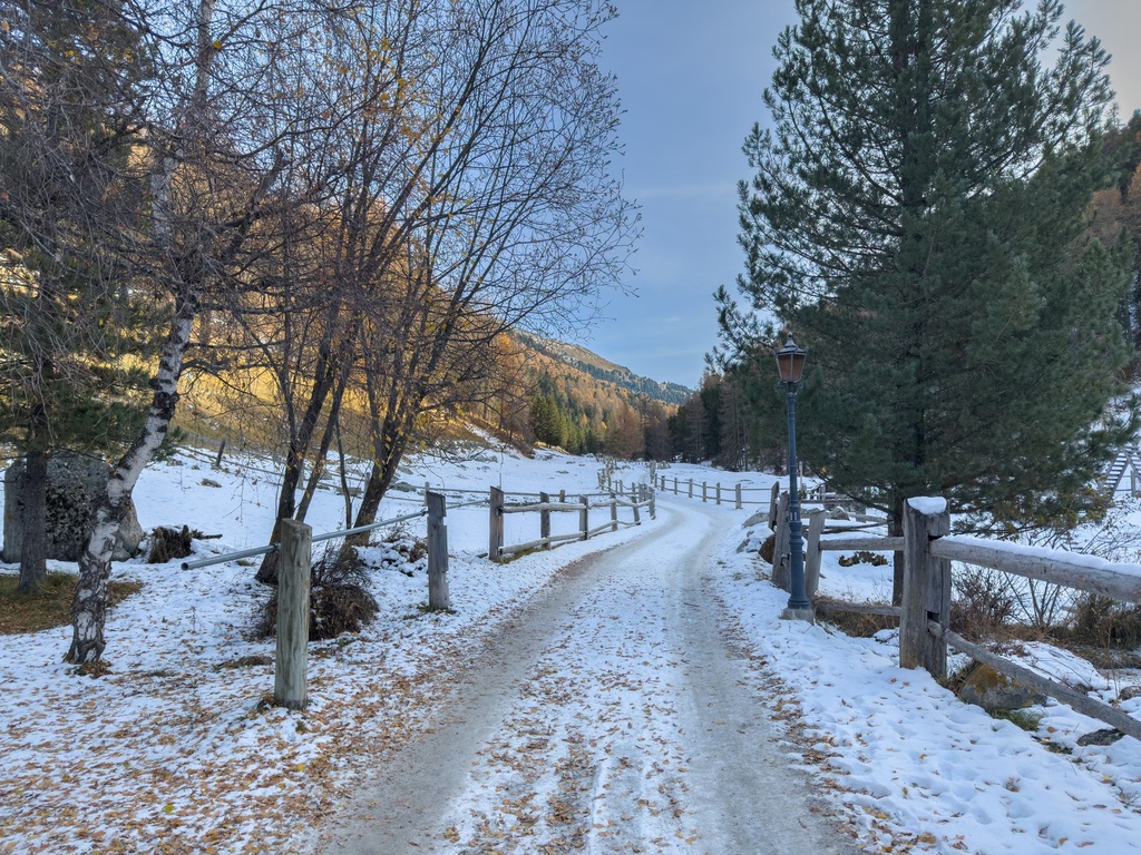 S-charl-Neu-/Umbau-Projekt Chesa Alvetern WHG 5